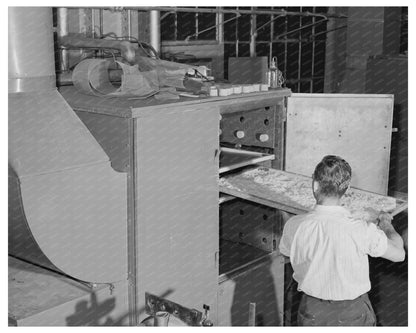 Potato Drying Process at Albany Lab June 1942