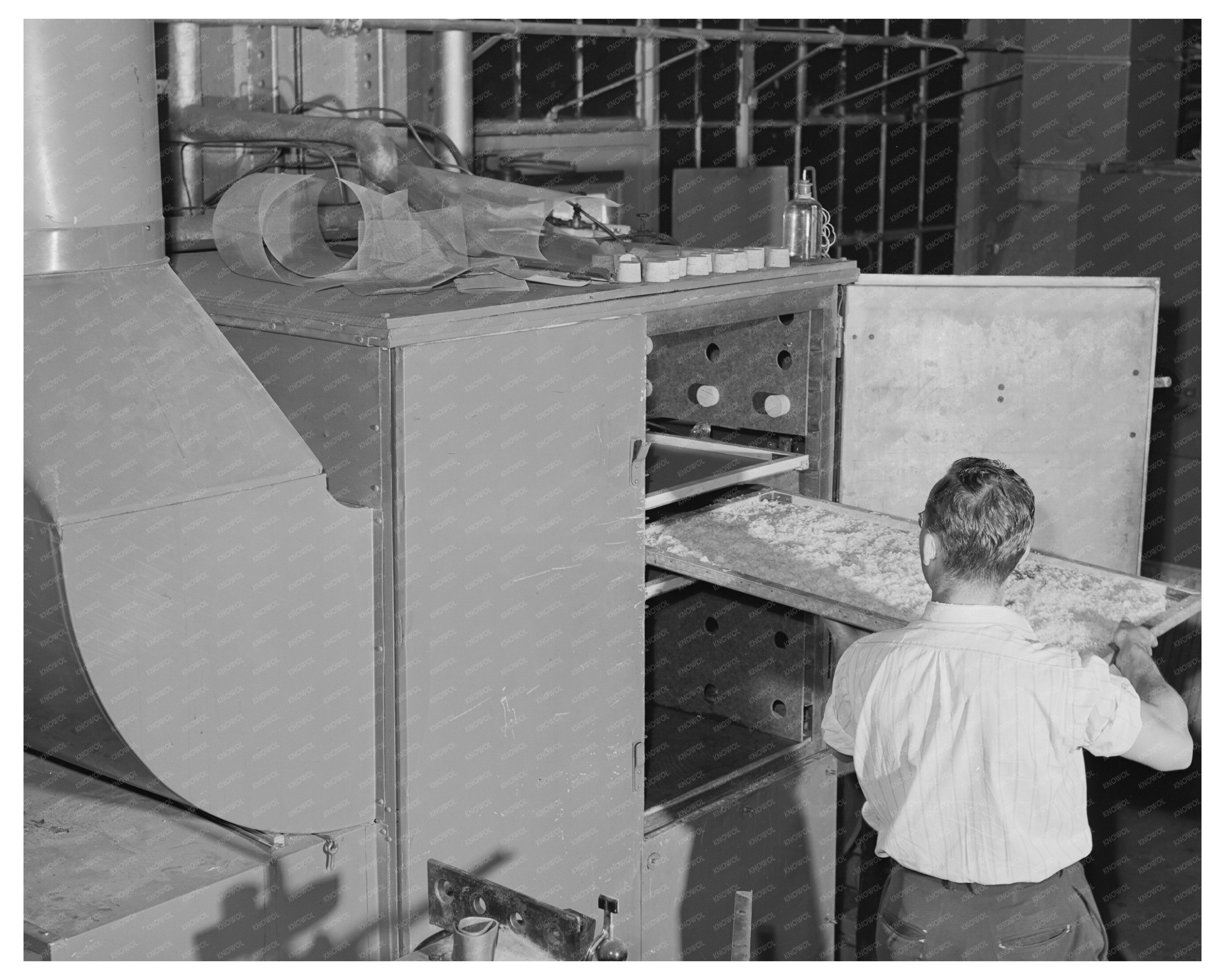 Potato Drying Process at Albany Lab June 1942