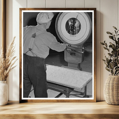Technician Weighing Dehydrated Potatoes Albany 1942
