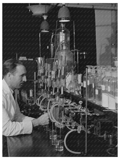 Dr. G.I. Jones Testing Vitamin B in Dehydrated Vegetables 1942