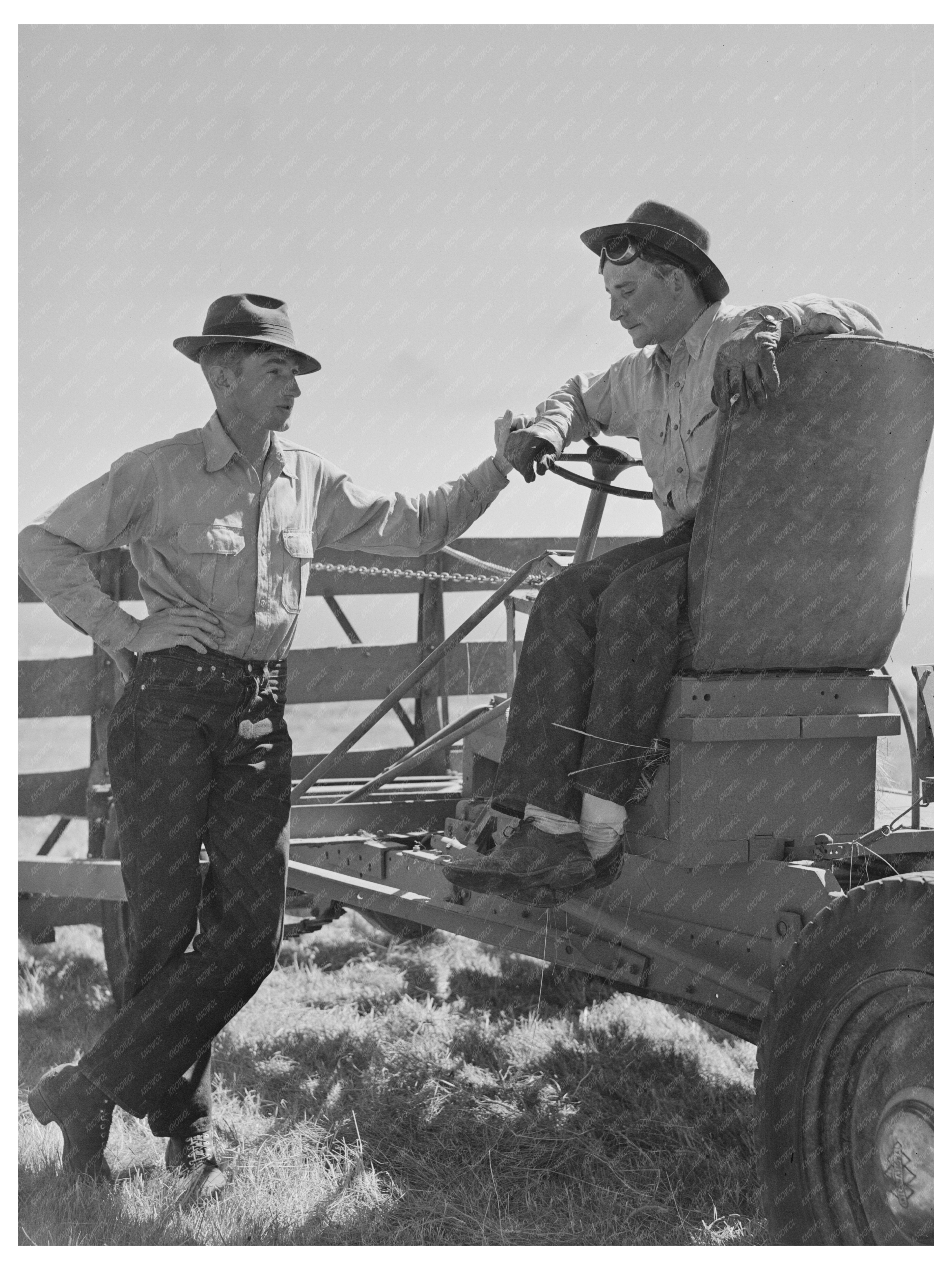 Haying in Big Hole Valley Montana August 1942