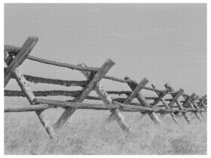 Big Hole Valley Cattle Ranching Landscape Montana 1942