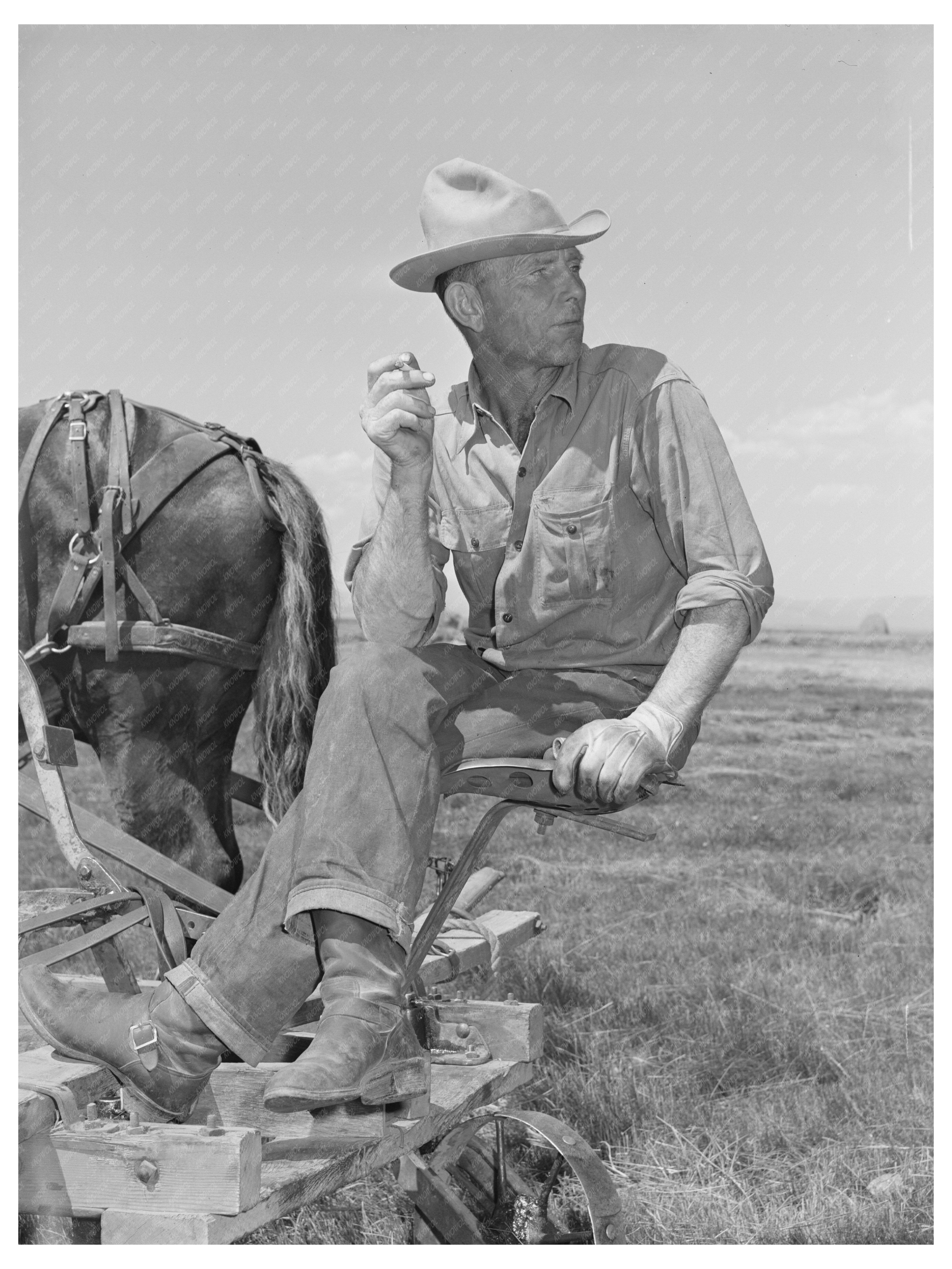 Haying Hand in Big Hole Valley Montana August 1942