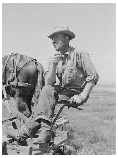 Harvesting Hay in Big Hole Valley Montana August 1942