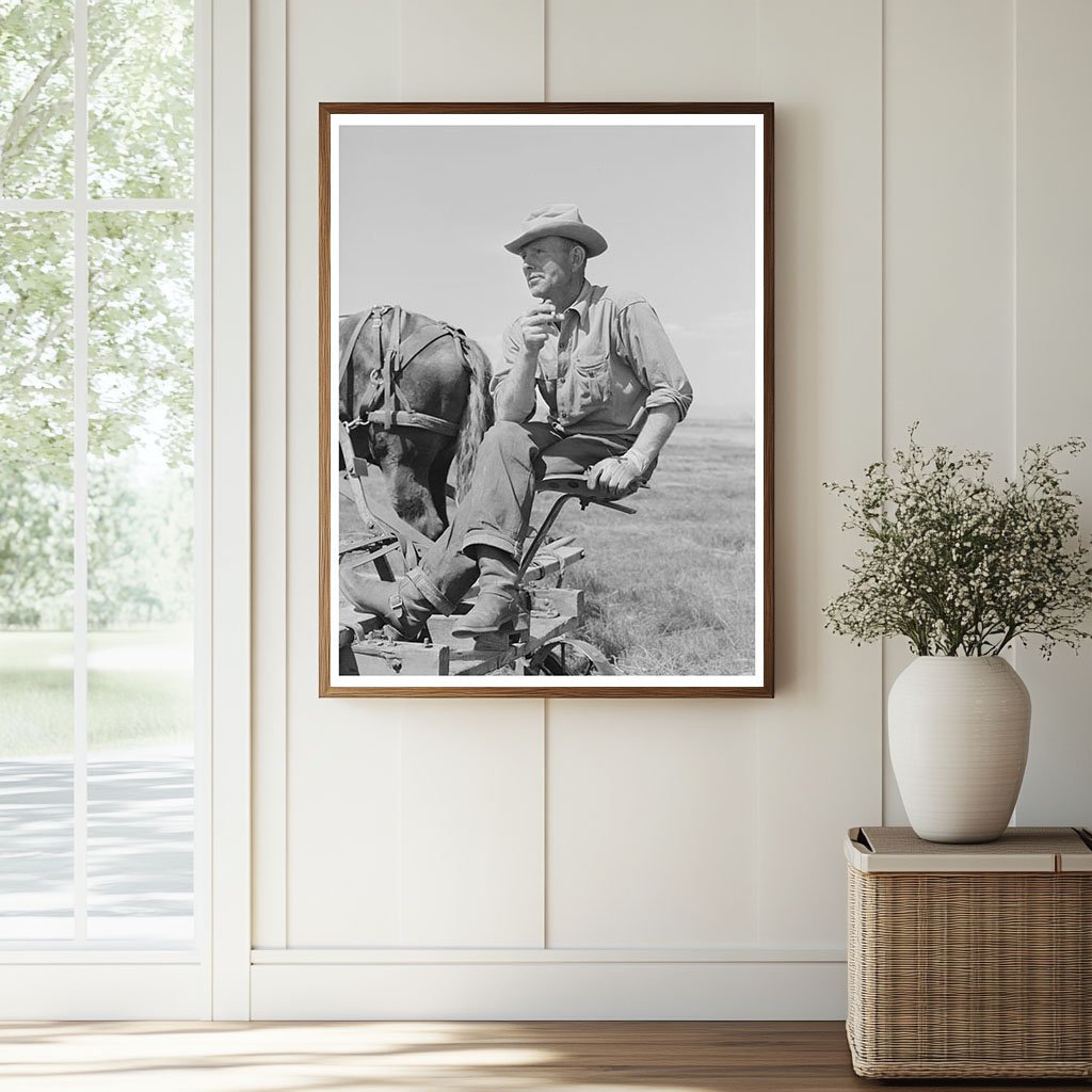 Harvesting Hay in Big Hole Valley Montana August 1942