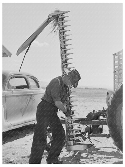 Big Hole Valley Montana Historical Photo August 1942