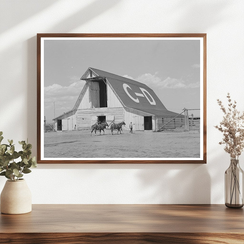 Big Hole Valley Barn and Horses C-D Ranch 1942