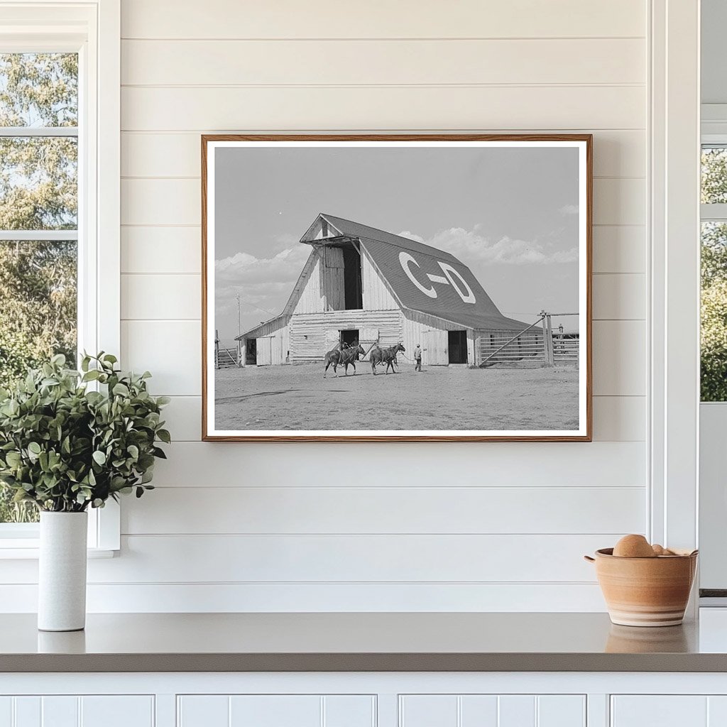 Big Hole Valley Barn and Horses C-D Ranch 1942
