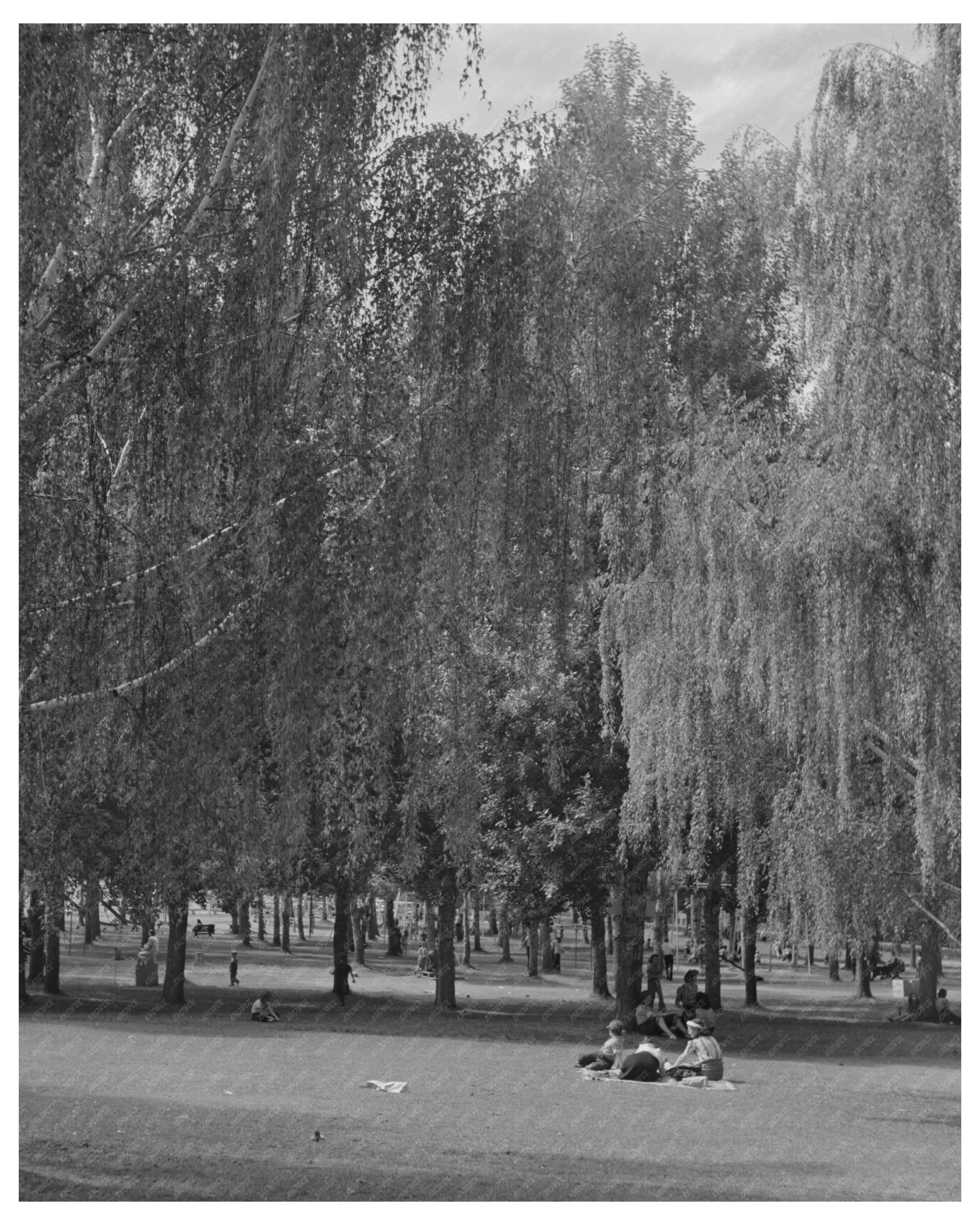 Columbia Gardens Butte Montana August 1942