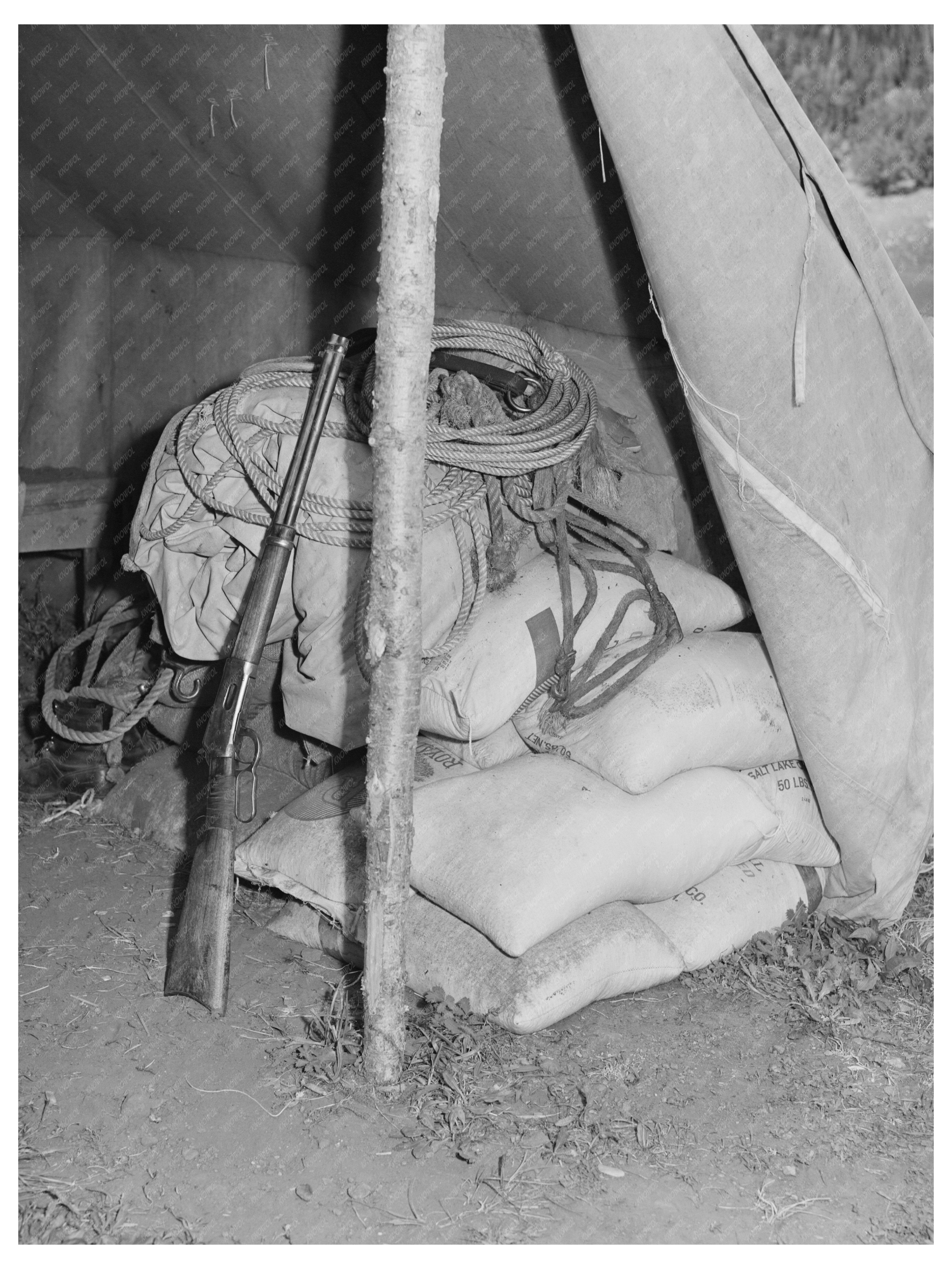 Gravelly Range Sheepherder Tent August 1942