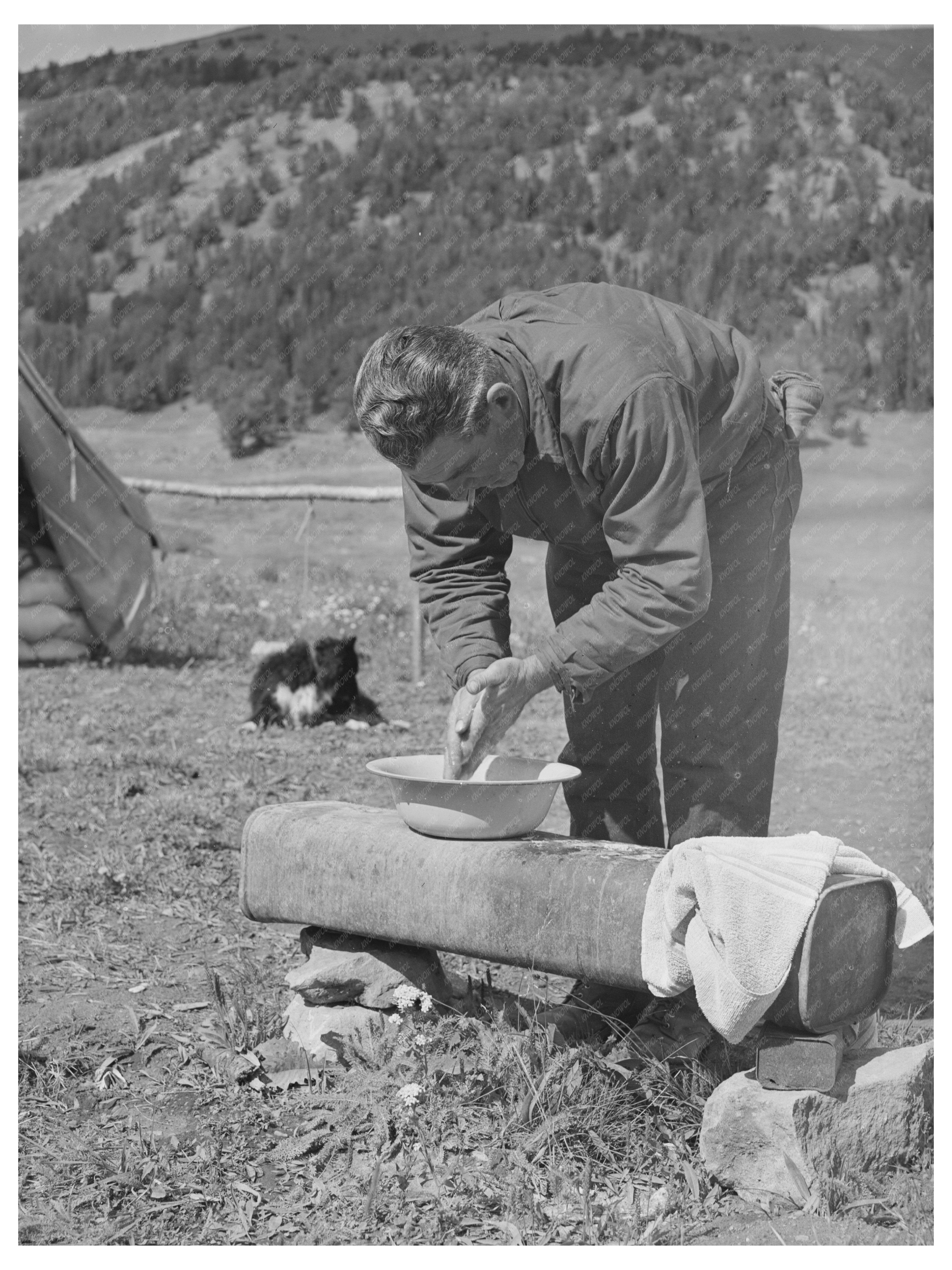 Sheepherder Camp in Gravelly Range Montana August 1942