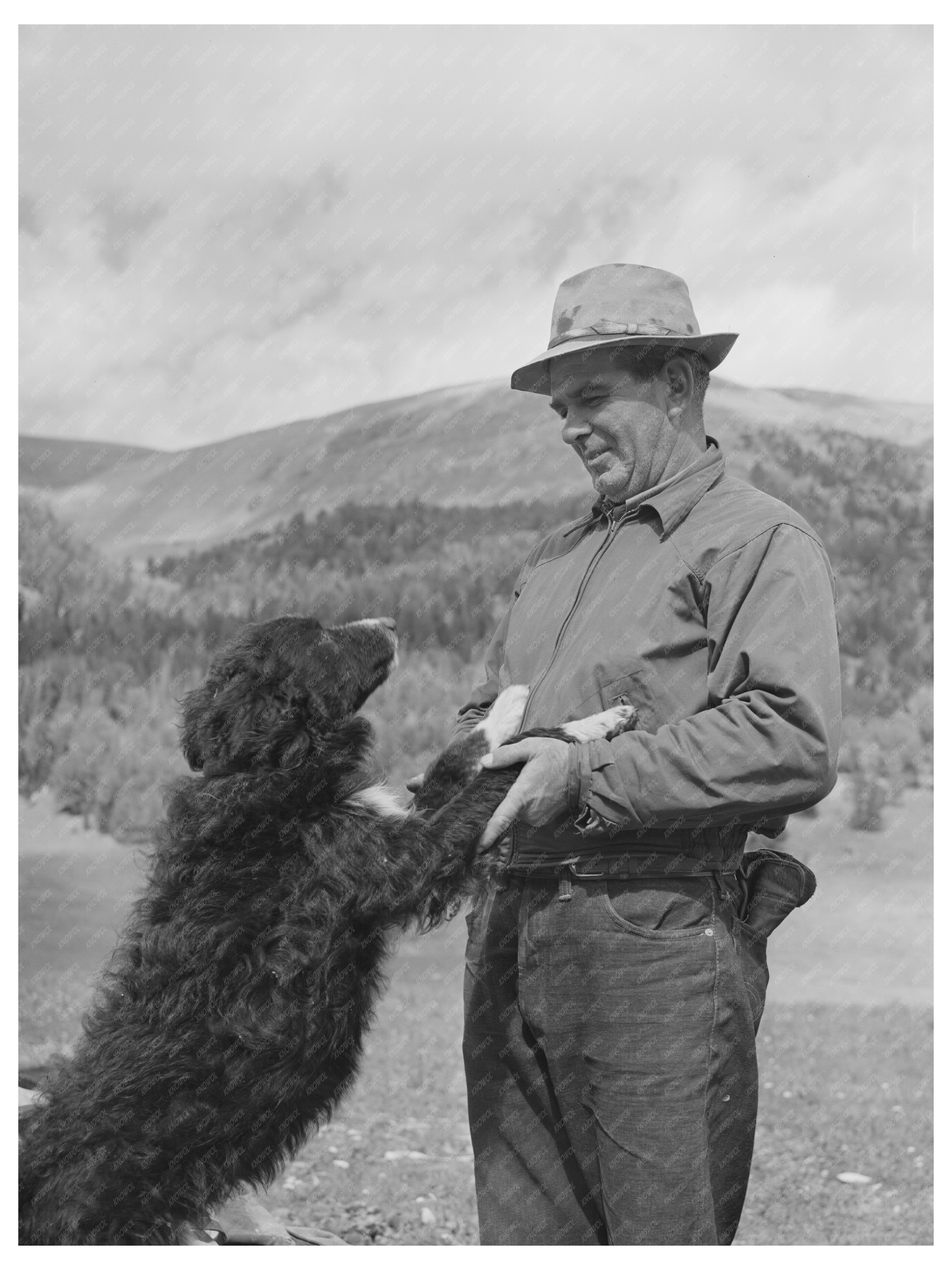 Sheepherder and Dog in Gravelly Range Montana 1942