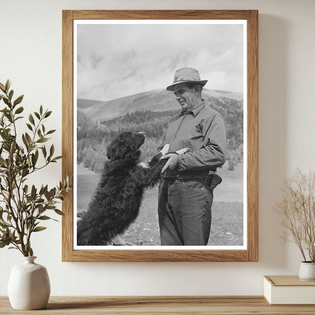 Sheepherder and Dog in Gravelly Range Montana 1942