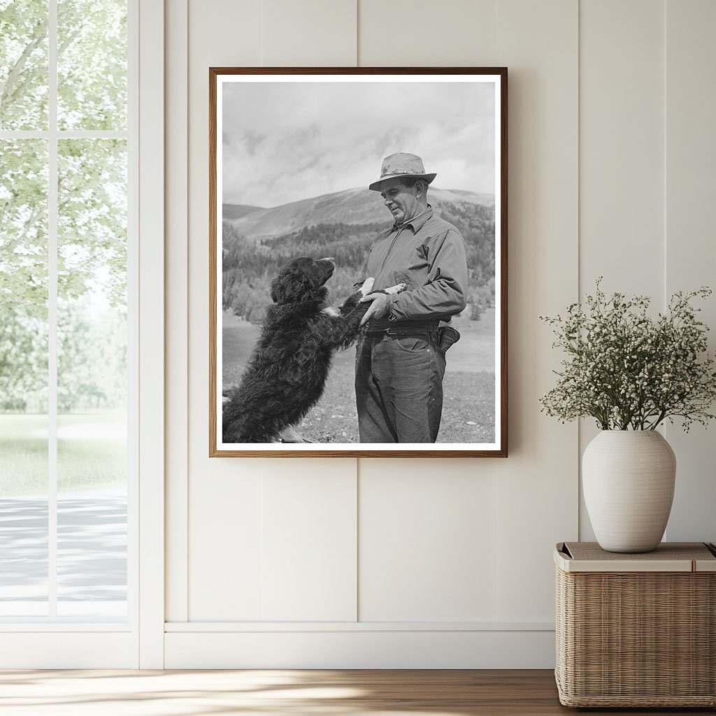 Sheepherder and Dog in Gravelly Range Montana 1942