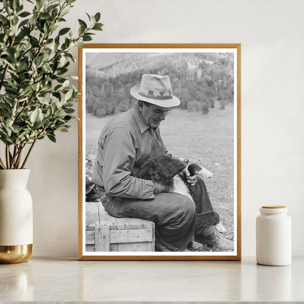 Sheepherder with Dog in Gravelly Range Montana 1942