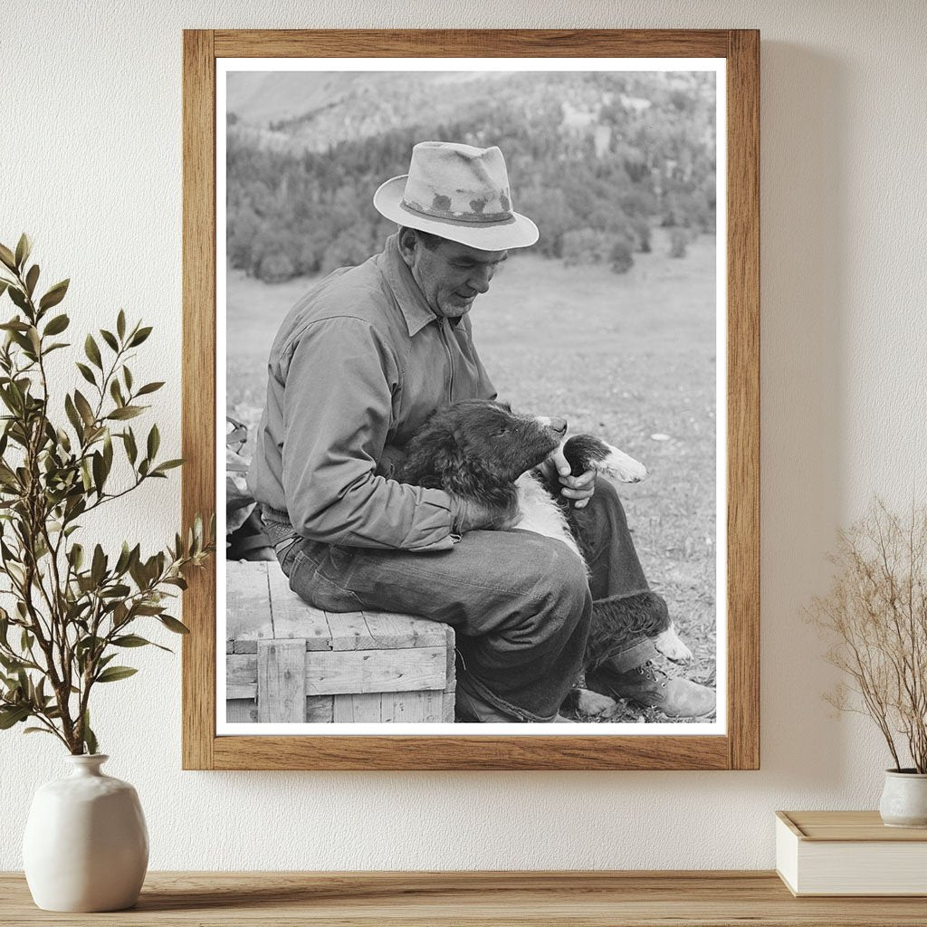 Sheepherder with Dog in Gravelly Range Montana 1942