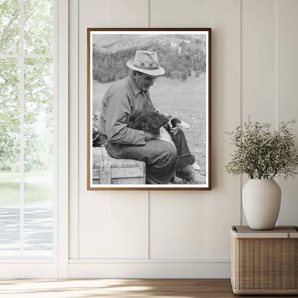 Sheepherder with Dog in Gravelly Range Montana 1942