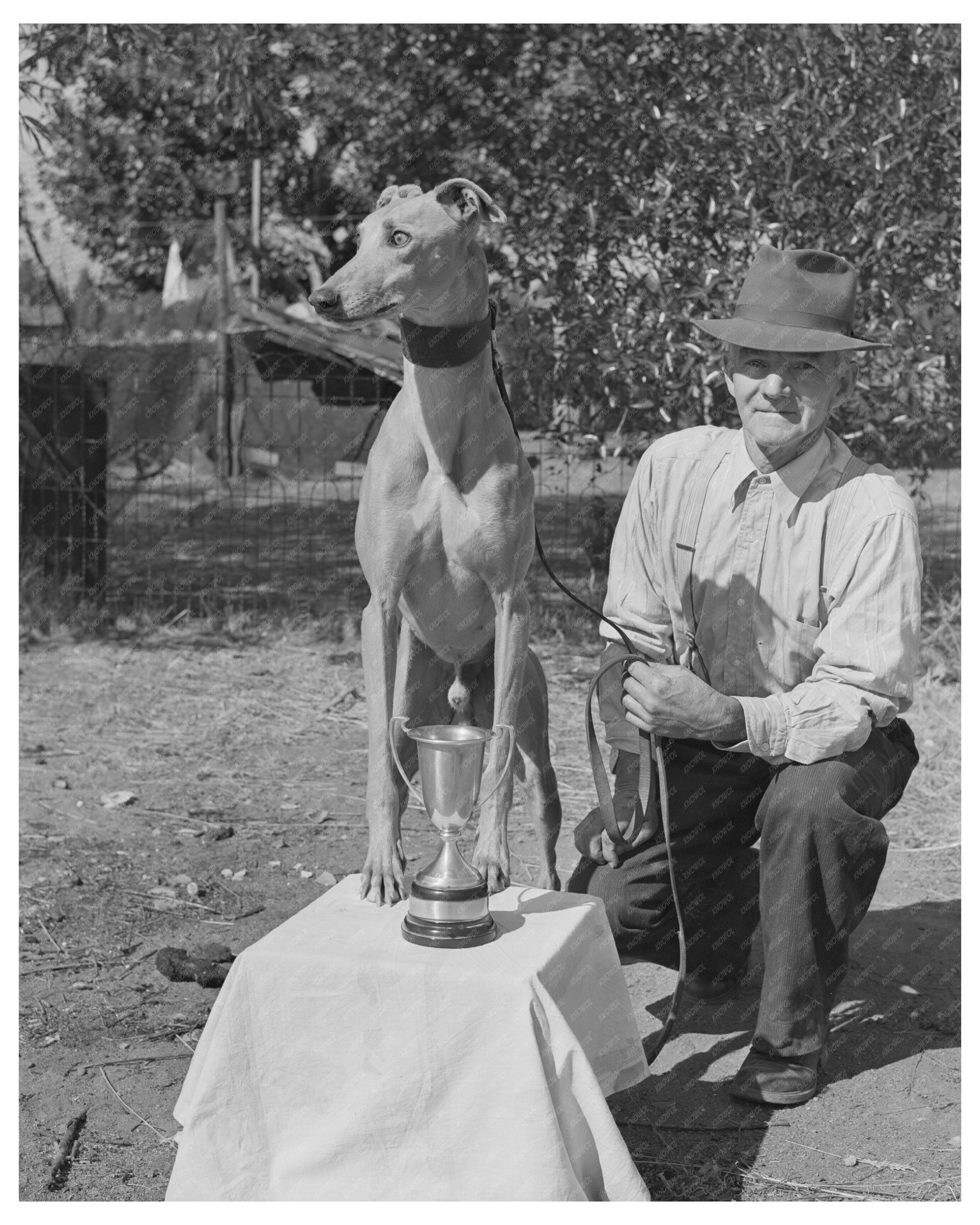 John D. Eddy and Petaluma Gold Butte Montana 1942