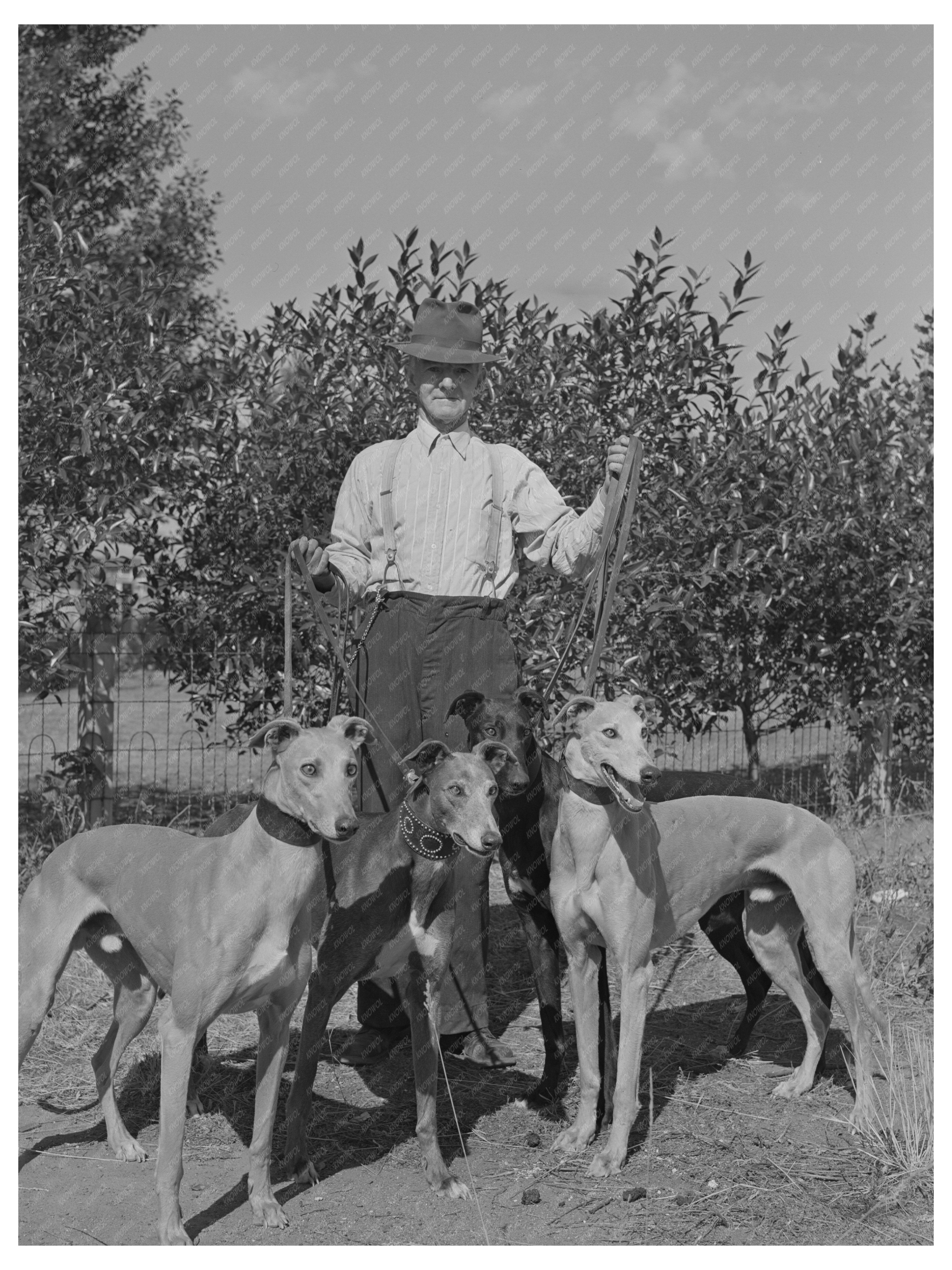 John D. Eddy with Petaluma Gold September 1942