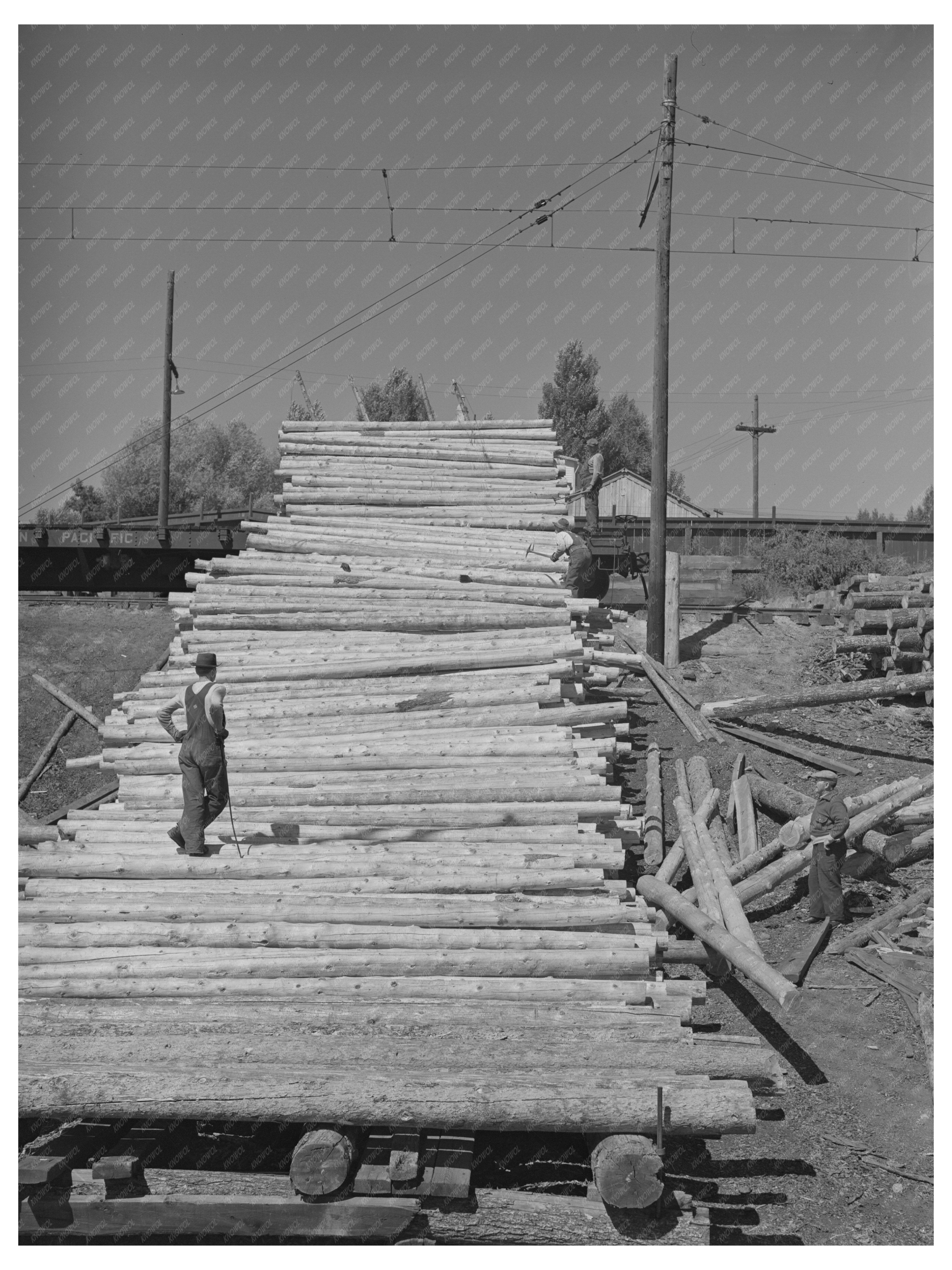 Timbering for Anaconda Copper Mining Butte Montana 1942