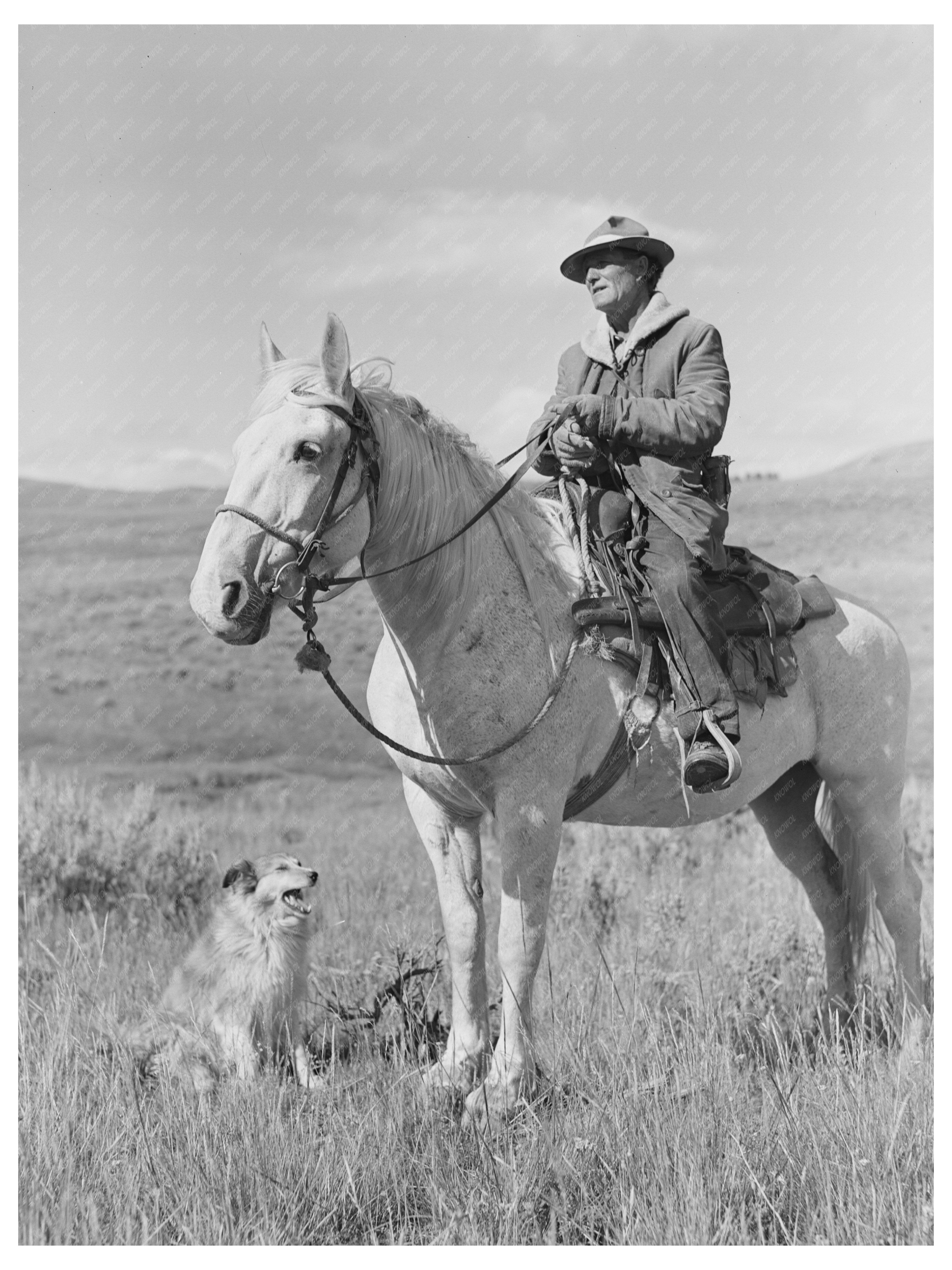 Sheepherder with Horse and Dog in Gravelly Range 1942