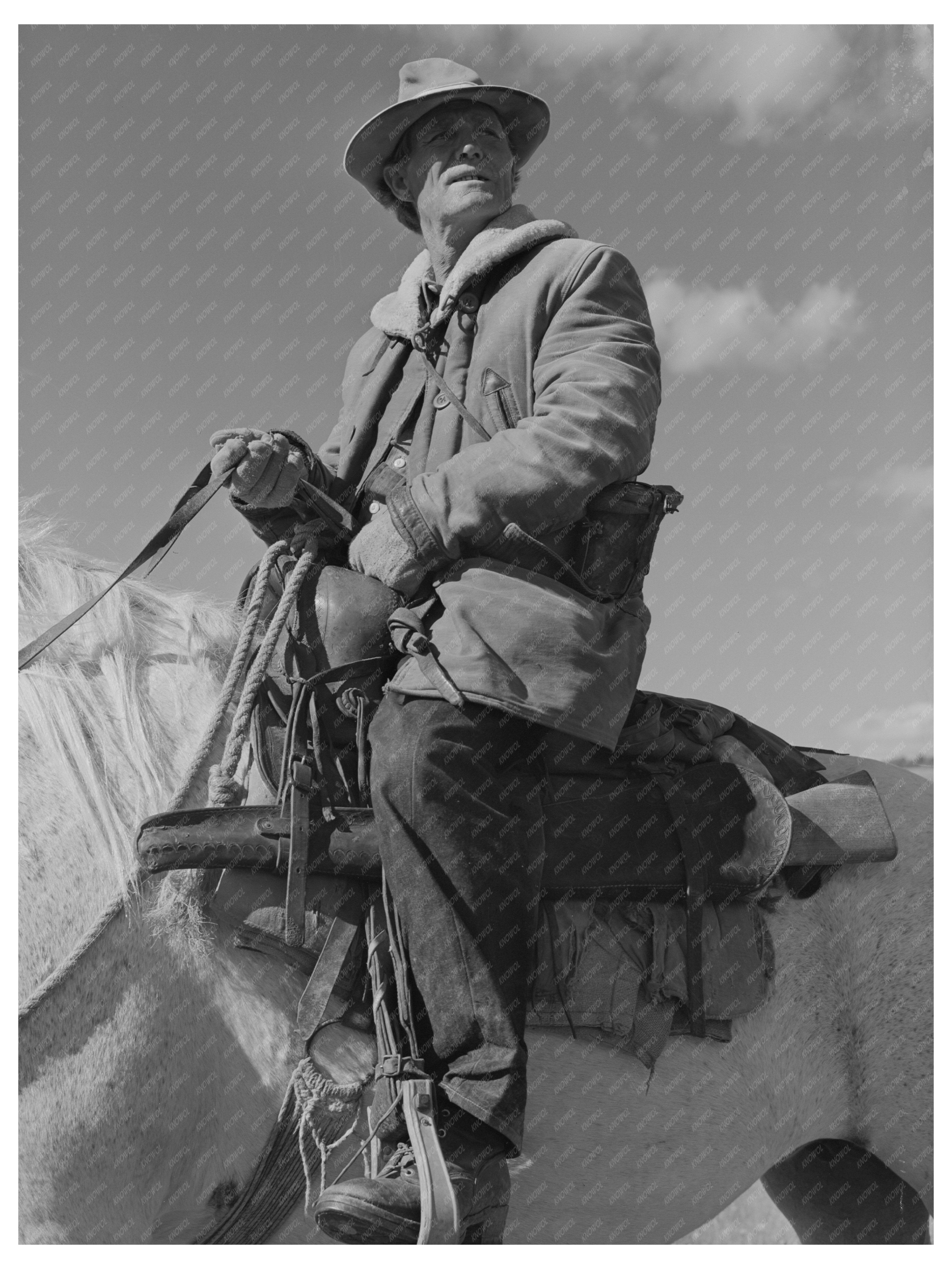 Sheepherder with Sheep in Gravelly Range Montana 1942