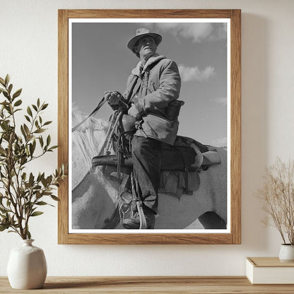 Sheepherder with Sheep in Gravelly Range Montana 1942