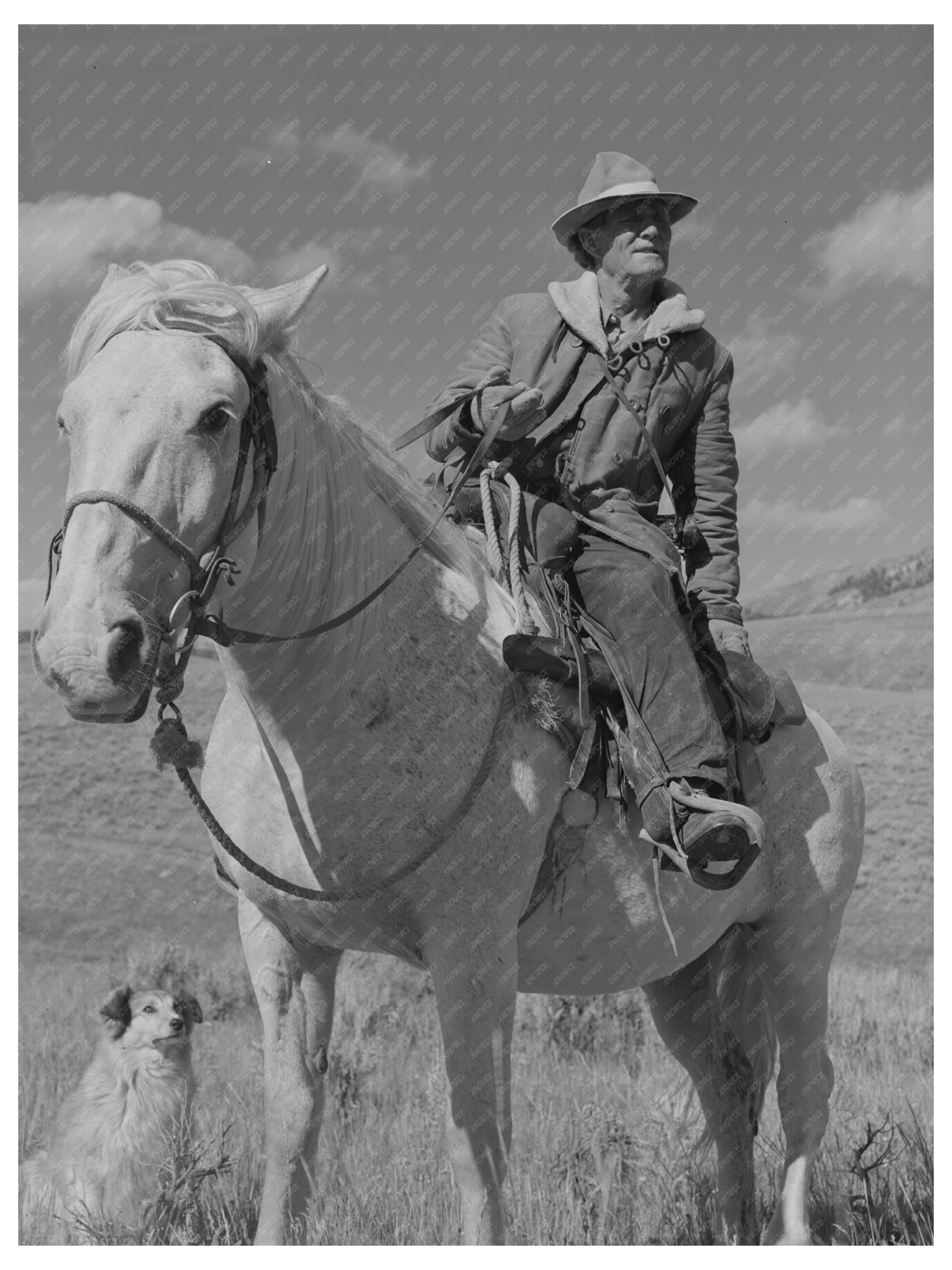 Sheepherder in Gravelly Range Montana 1942