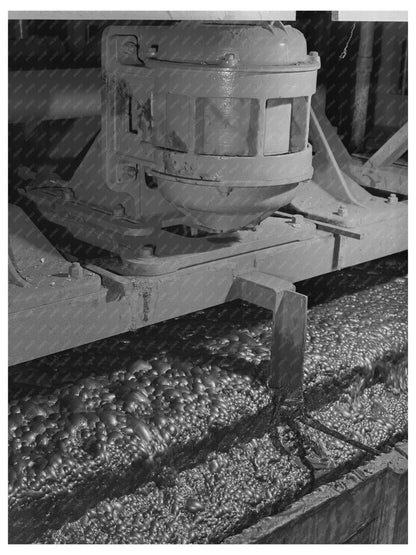 Anaconda Smelter Flotation Machine September 1942