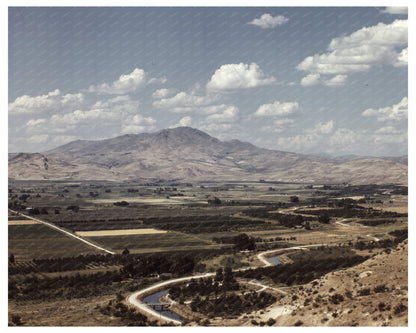 1941 Color Photograph of Cherry Orchards in Emmett Idaho