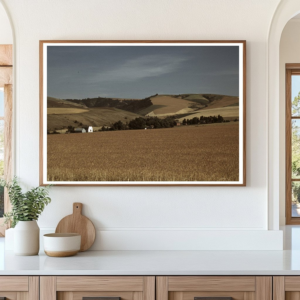 Wheat Farm in Walla Walla Washington July 1941