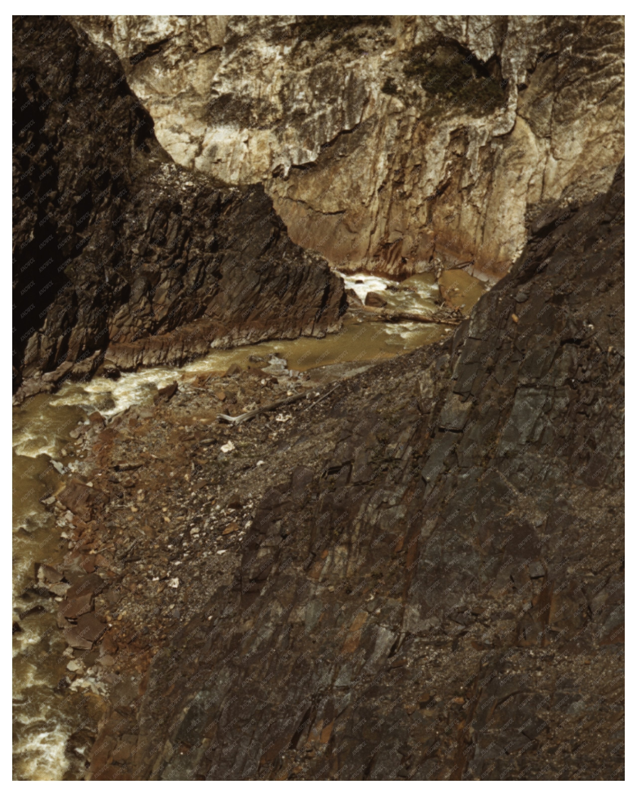 Vintage 1940 Photo of U.S. Route 550 in Colorado