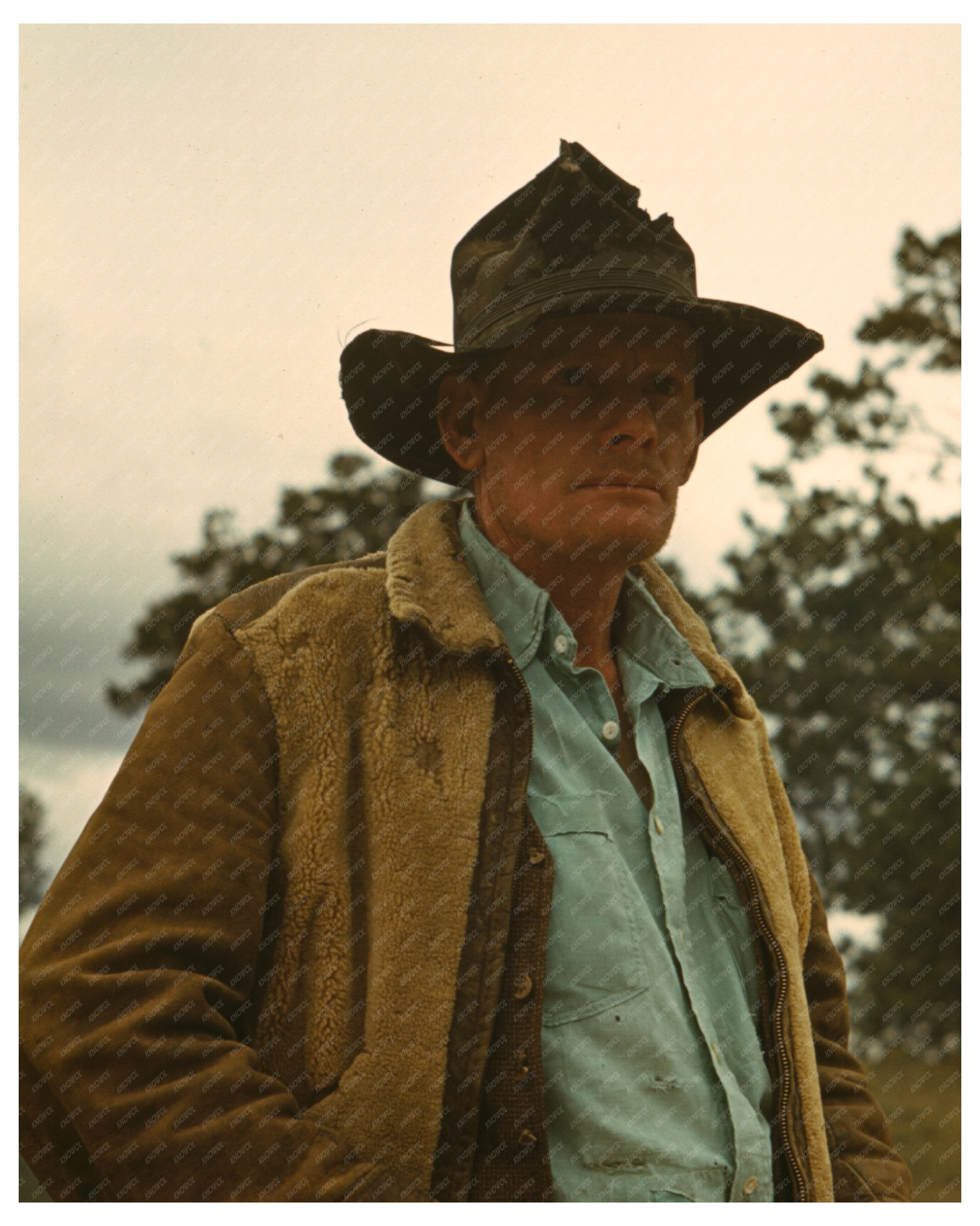 Les Thomas Homesteader Pie Town New Mexico October 1940