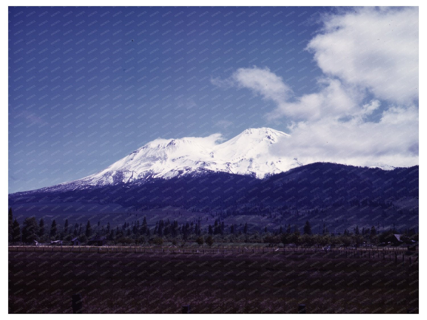 Mount Shasta California June 1942 View with Natural Scenery