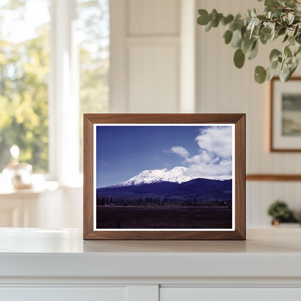 Mount Shasta California June 1942 View with Natural Scenery