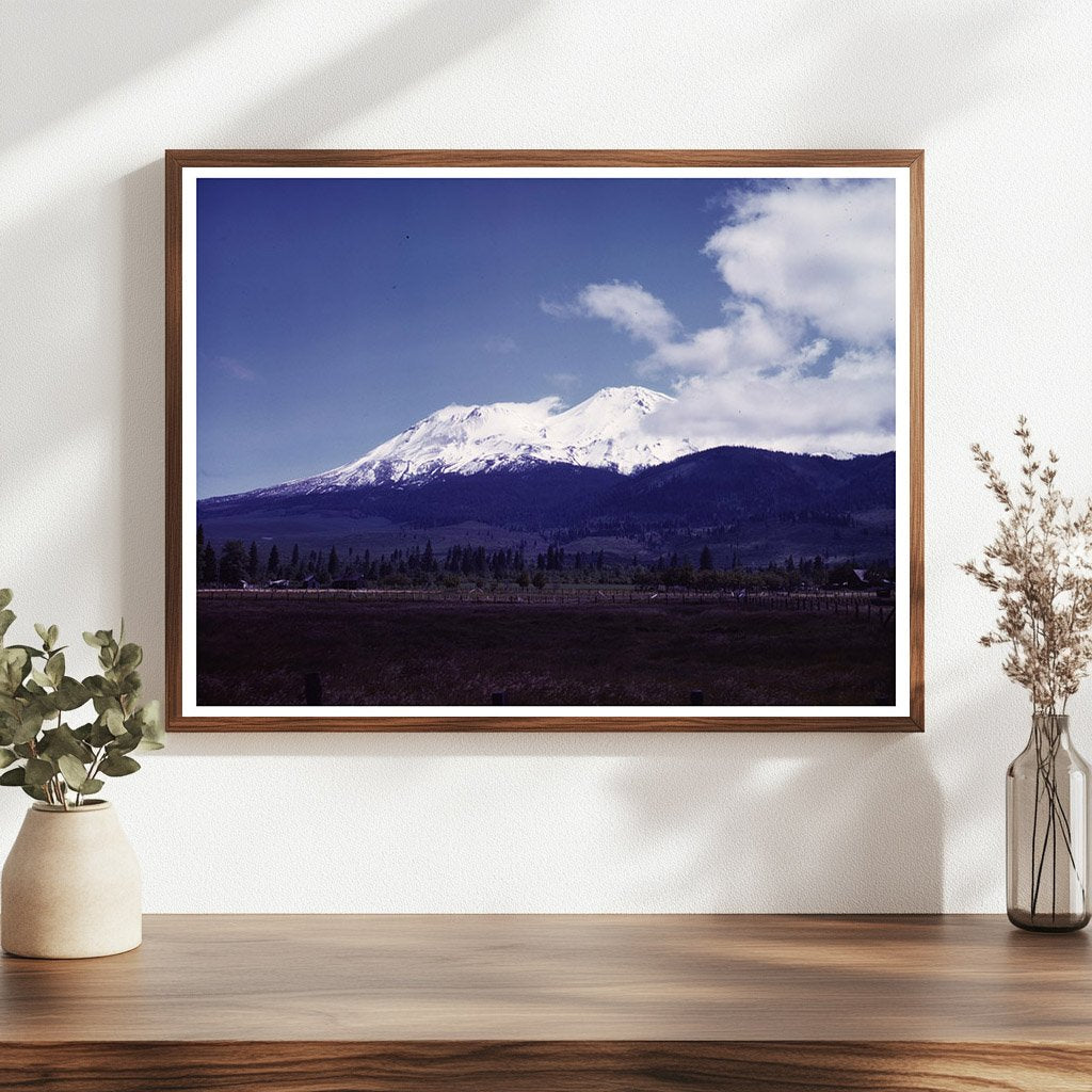 Mount Shasta California June 1942 View with Natural Scenery