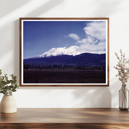 Mount Shasta California June 1942 View with Natural Scenery