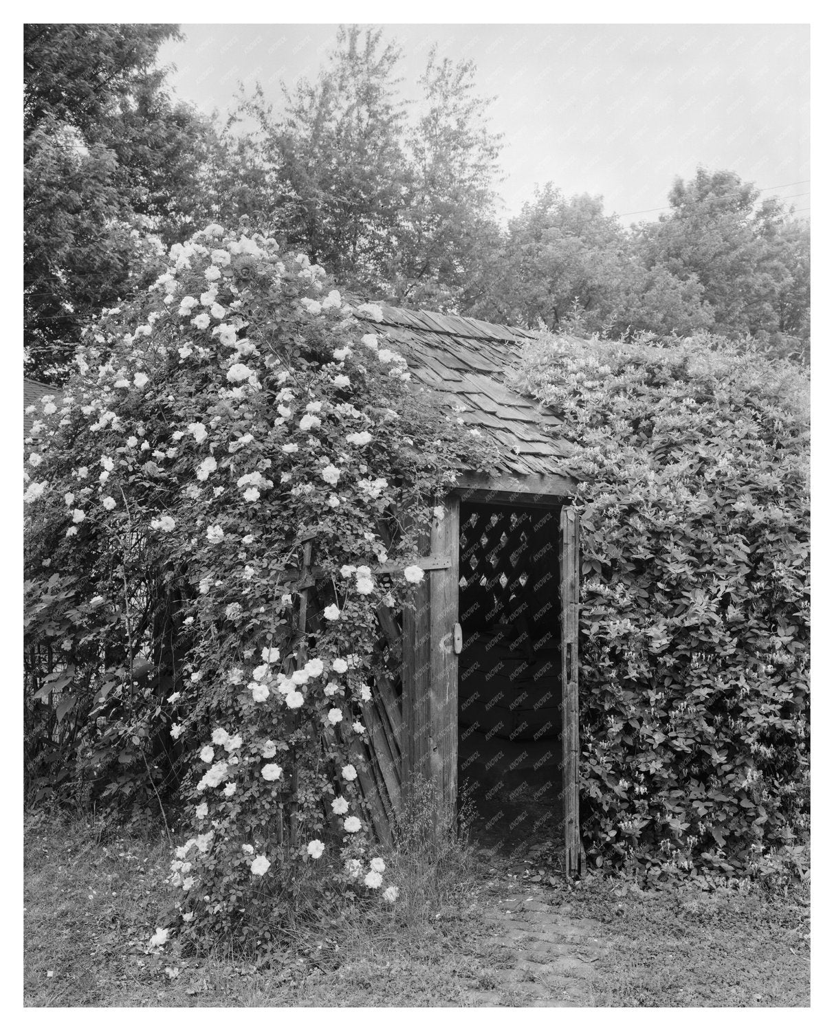 Historic Building in Athens, AL - 1826 Photo Archive