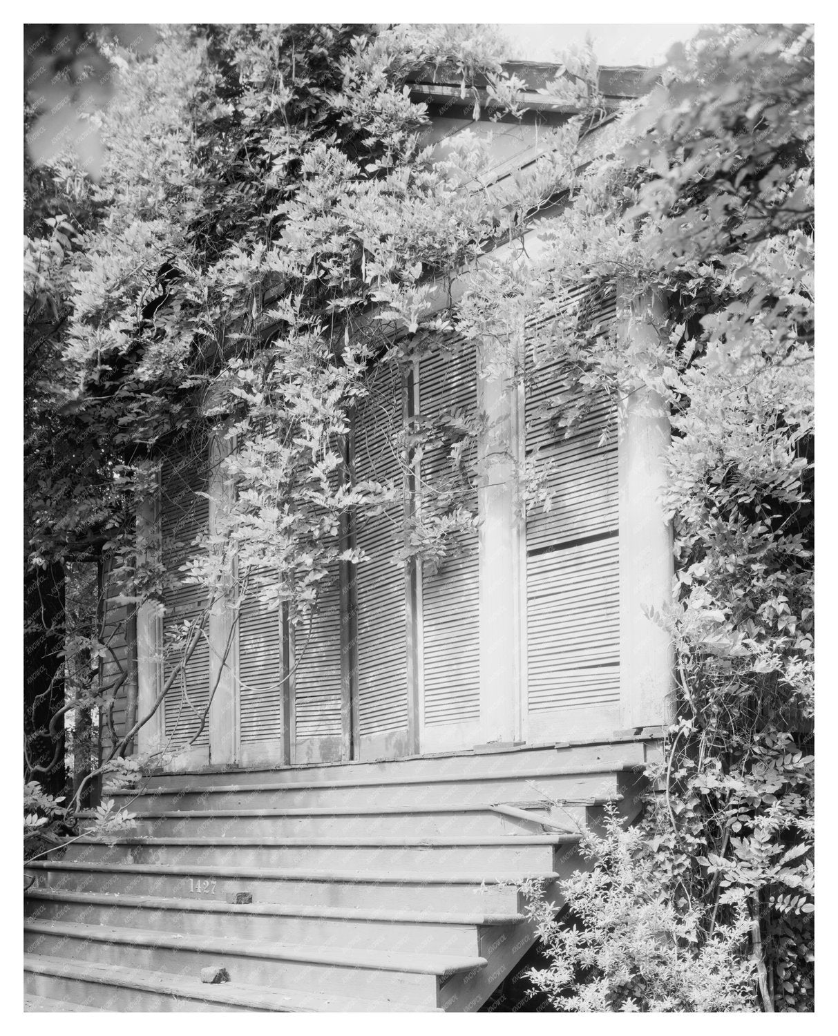 Oldest House in Tuscaloosa, Alabama - Vintage Photo 1820