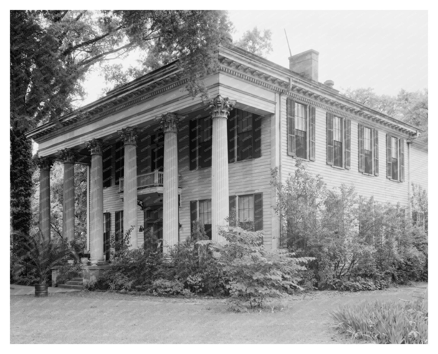 Tuscaloosa, AL Vintage Architecture Photo, Mid-20th Century