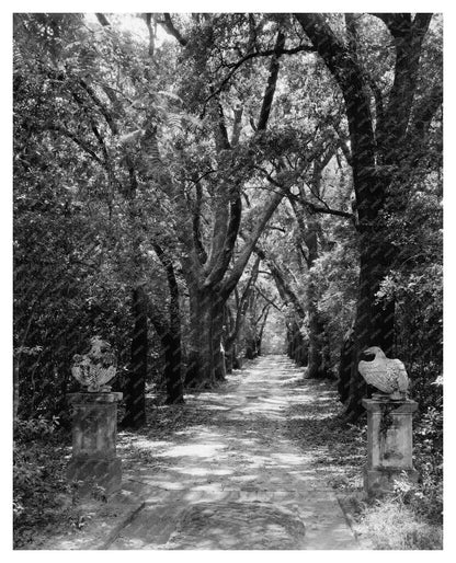 1840 Mobile County Architecture: Vintage Photo