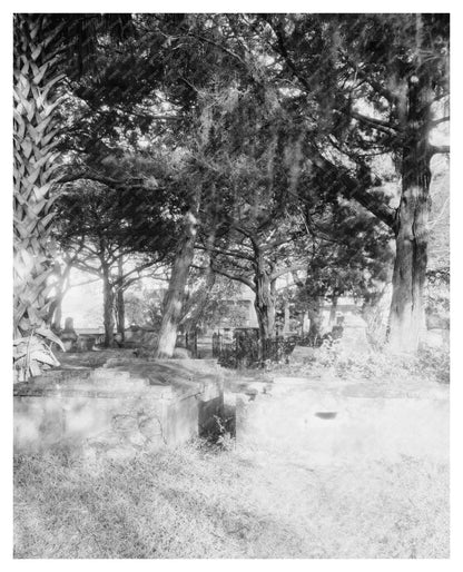 St. Augustine, FL Cemetery Photograph - 1953