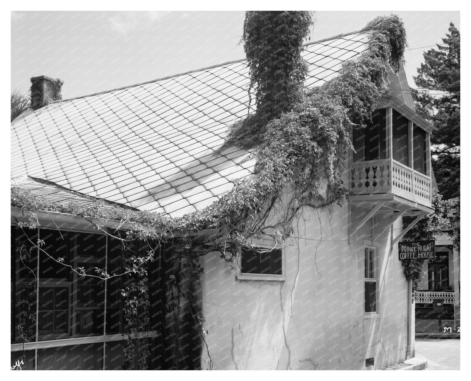 St. Augustine, FL Vintage Coffeehouse Photo, 1953