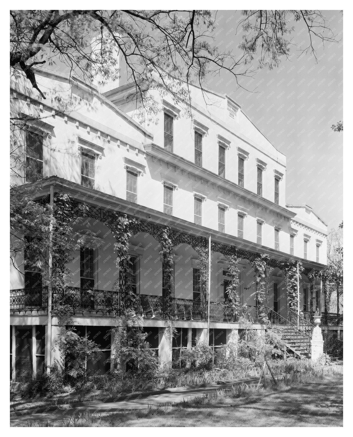 Historic Building in Athens, GA - 1858 Vintage Photo