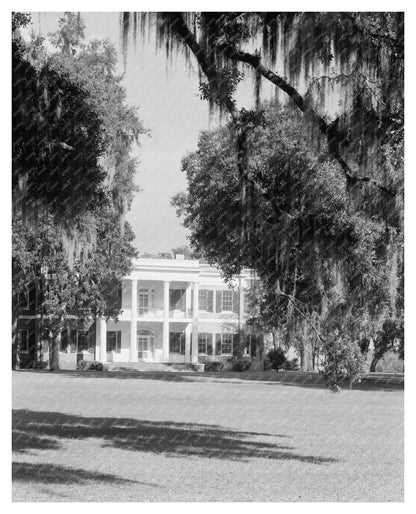 Historic Savannah Estate Photo, Chatham County, 20th Century