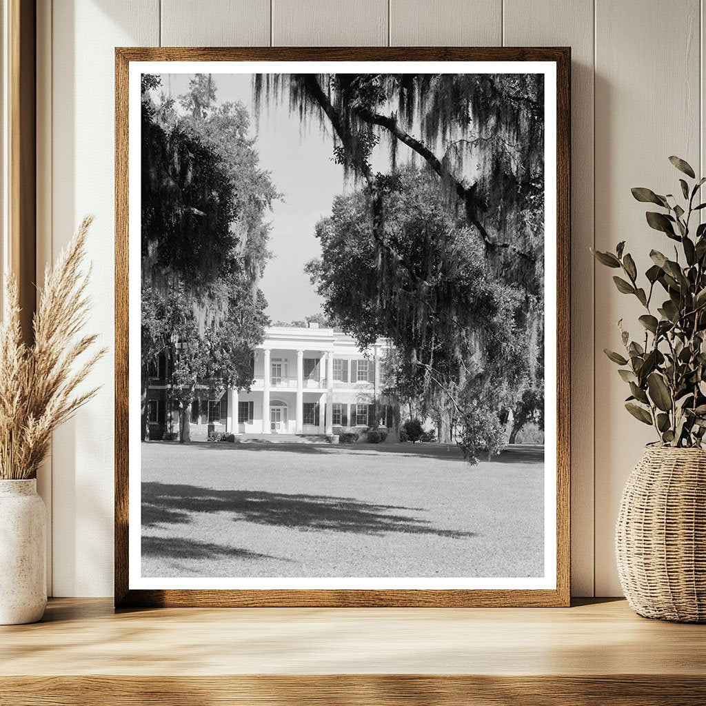 Historic Savannah Estate Photo, Chatham County, 20th Century