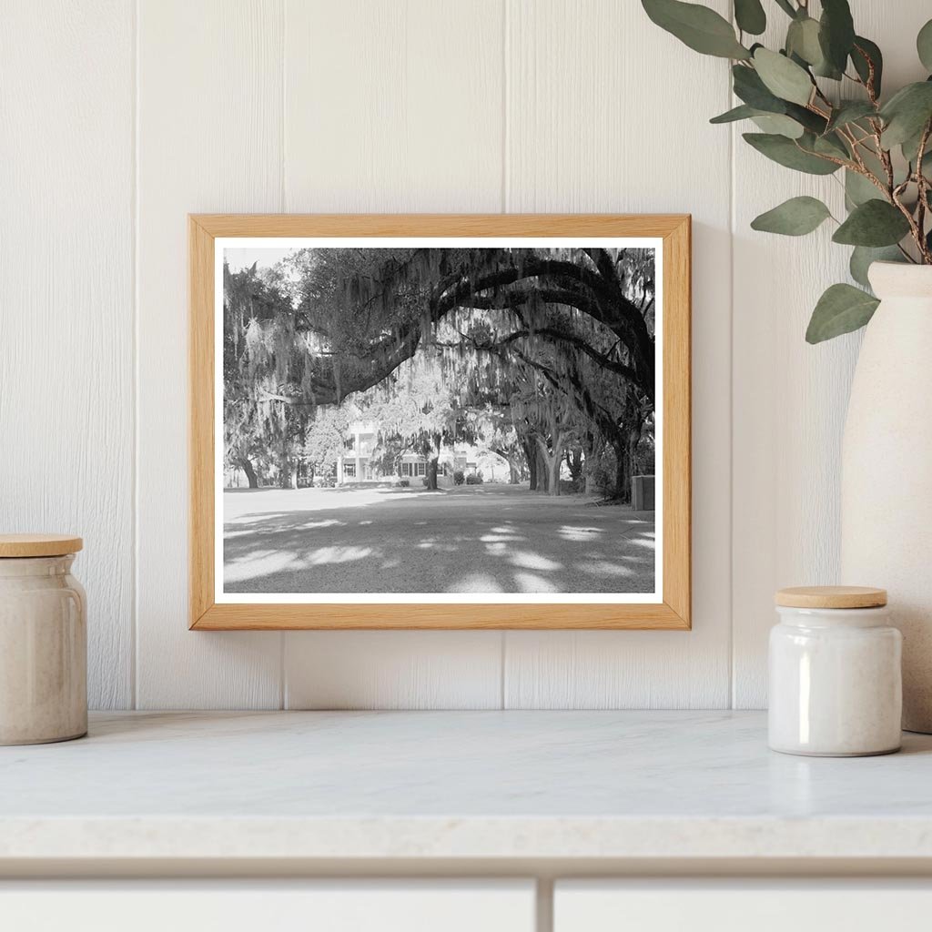 Historic Henry Ford Residence in Savannah, GA, 1900s