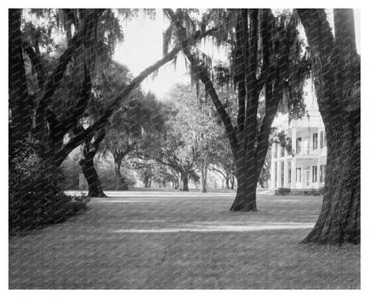 Chatham County Plantation, Savannah, Georgia, 1953