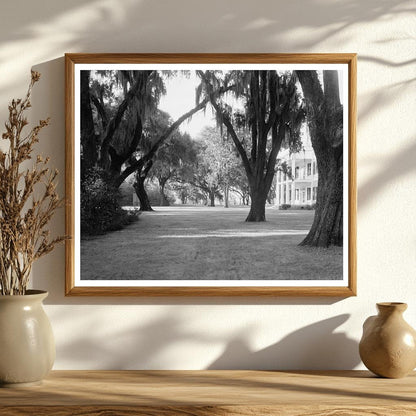 Chatham County Plantation, Savannah, Georgia, 1953