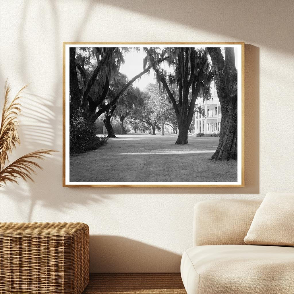 Chatham County Plantation, Savannah, Georgia, 1953